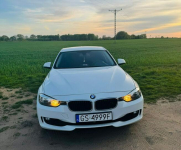 BMW 3 Seria 2.0 316d Słupsk - zdjęcie 5