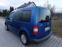 1.6 B 7 Osobowy Bezwypadkowy Super Stan. Chynów - zdjęcie 9