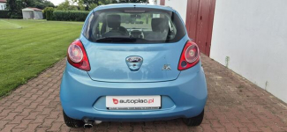 Ford KA GRZANE FOTELE Paproć - zdjęcie 6