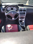 SPRAWNY Peugeot 307 CC Ruda Śląska - zdjęcie 10