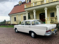 Mercedes W110 Klasa S / W111 / 220S / Zabytek! Łaziska Górne - zdjęcie 10