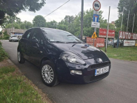 Fiat Punto Evo Salon polska