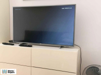 2pok, 40met, okolice Św. Barbary (Wrocław) Stare Miasto - zdjęcie 3