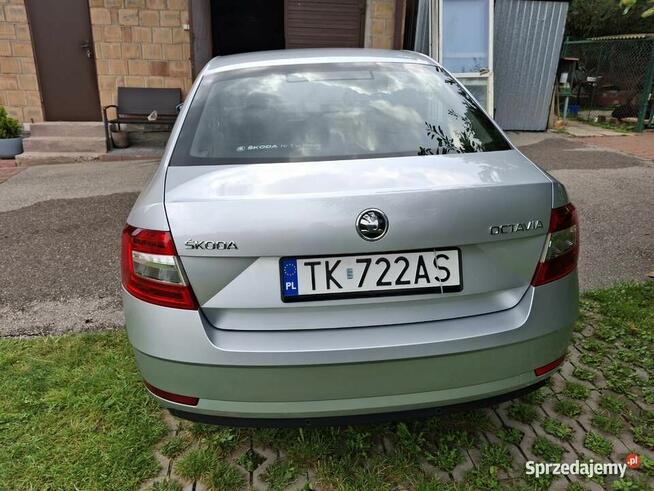 Skoda Octavia 2017 PO PRZEGLĄDZIE Chomentów - zdjęcie 11