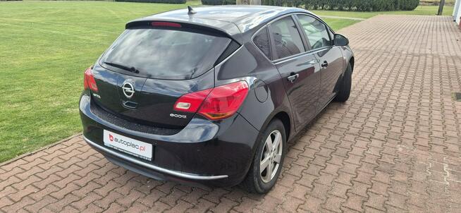 Opel Astra TEMPOMAT-FAK SERWISOWE Paproć - zdjęcie 7