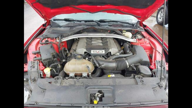 Ford Mustang GT PREMIUM / Automat / 5.0 V8 Wrocław - zdjęcie 11