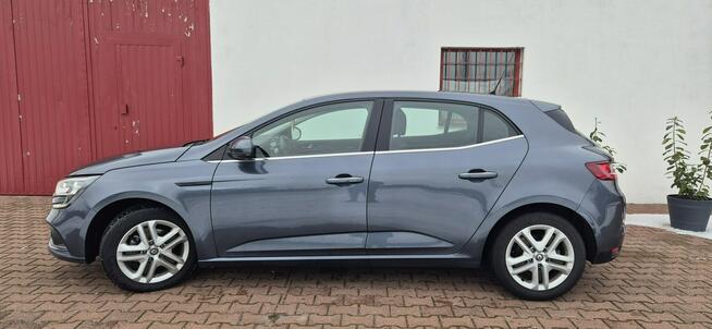 Renault Megane LED Paproć - zdjęcie 4