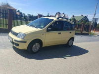 Fiat Panda 1.3 multiJett 2008 rok Podgórze - zdjęcie 3