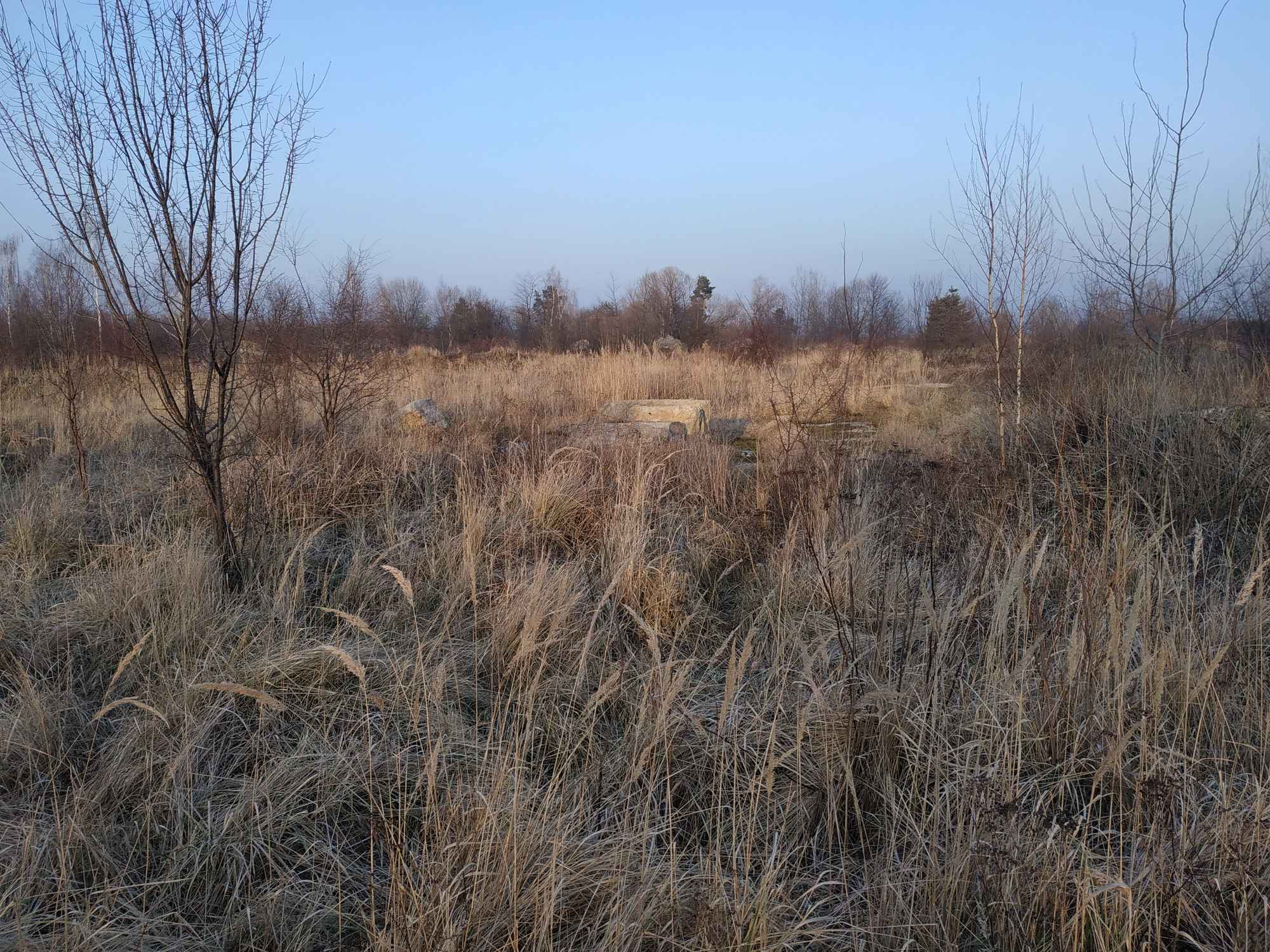 Nieruchomość na sprzedaż Kamiennik - zdjęcie 11