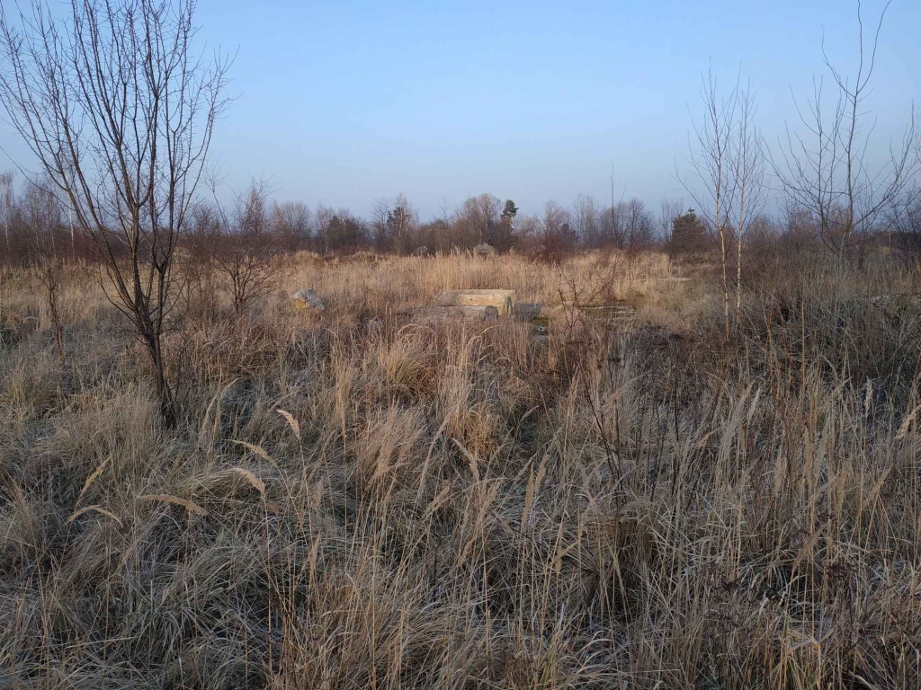 Nieruchomość na sprzedaż Kamiennik - zdjęcie 11