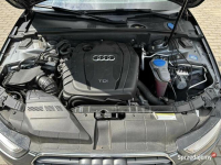 Audi a4 b8 Choceń - zdjęcie 9