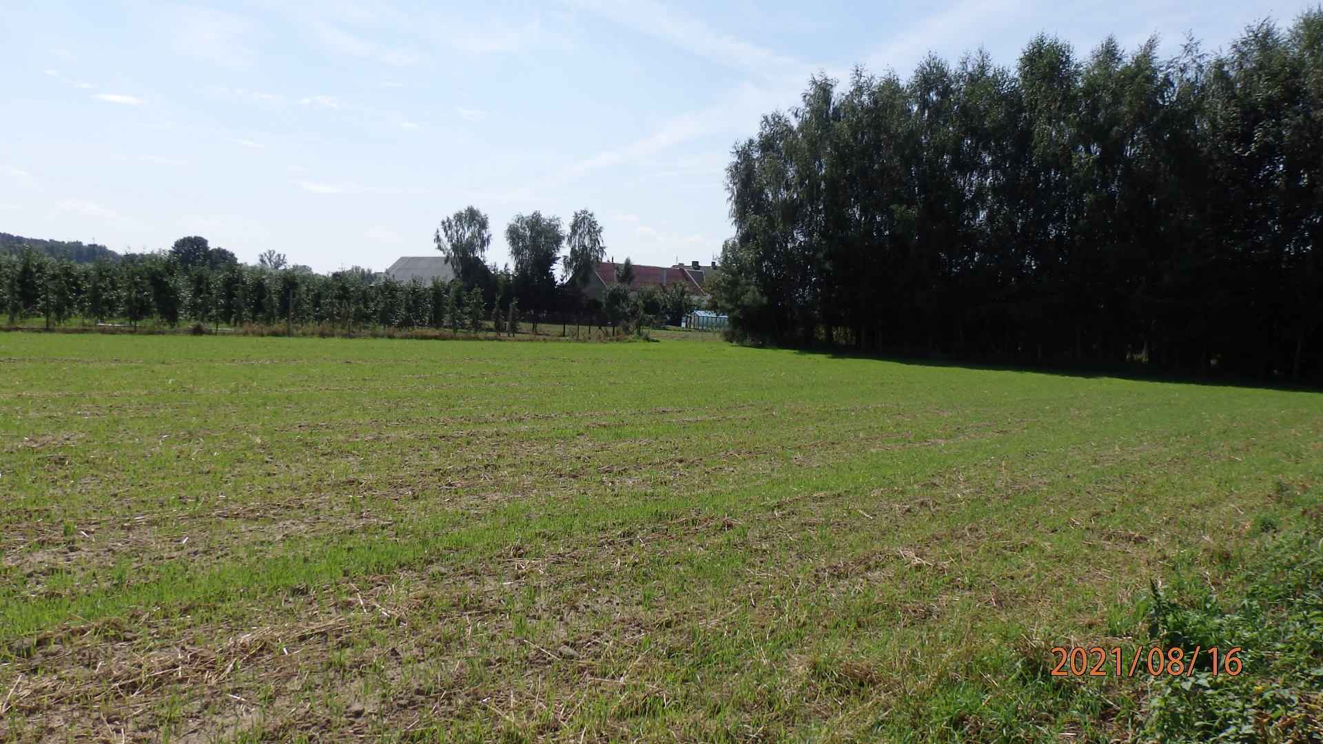 Sprzedam działkę budowlano inwest.z atrakcyjnym Warunkami Zabudowy. Świecie - zdjęcie 1