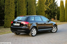 Audi A3 1.6MPI*102KM Ostrów Mazowiecka - zdjęcie 10