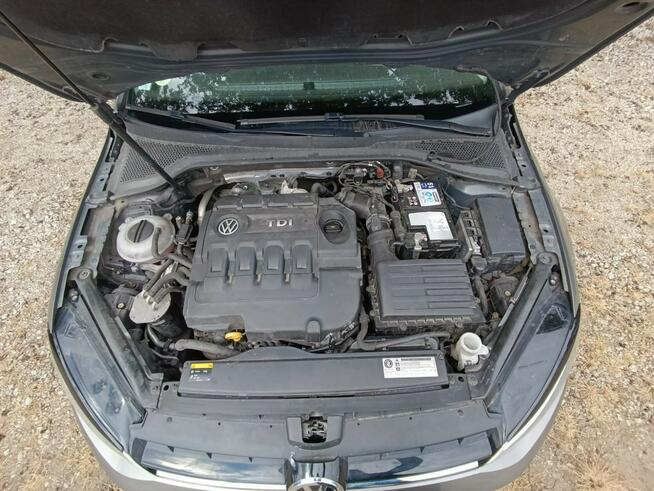 Volkswagen Golf 1.6 Tdi Pleszew - zdjęcie 10