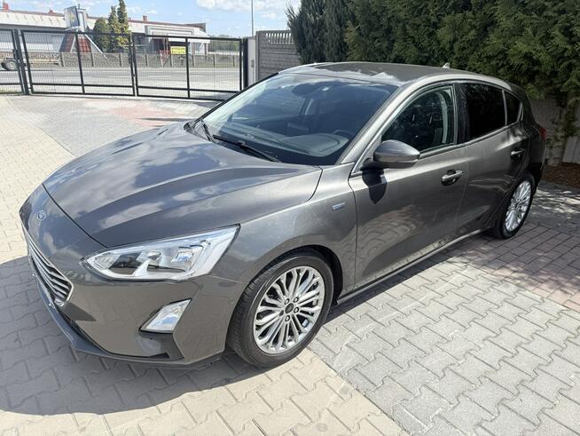 Ford Focus ecoblue Zielona Łąka - zdjęcie 2