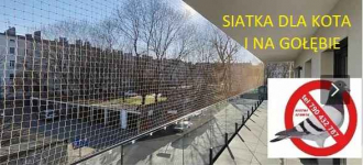 SIATKA NA GOŁĘBIE OPOLE Opole - zdjęcie 2
