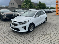 Kia Cee&#039;d Climatronic Kamera cofania Buissnes
