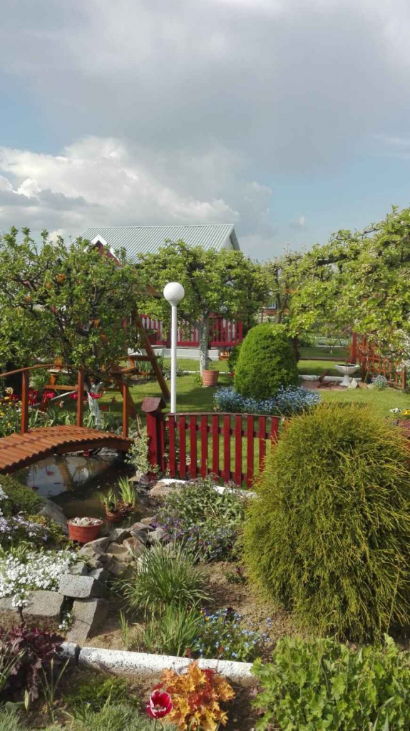 Sprzedam działkę w ROD "Kępa" Puławy Puławy - zdjęcie 1