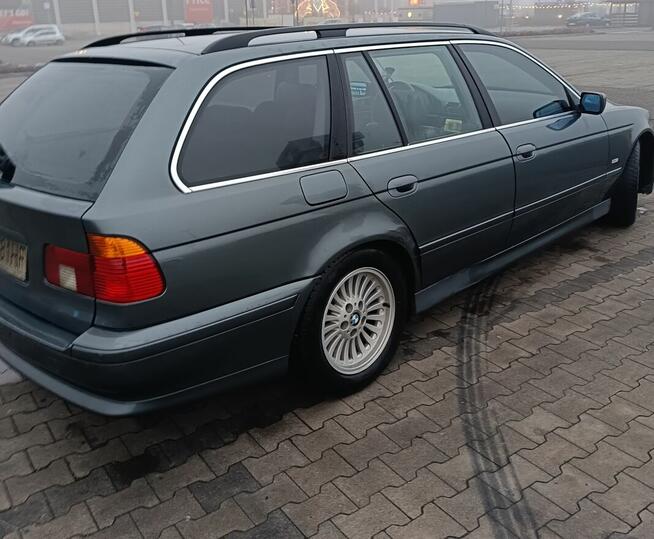 BMW 525d E39 2003 r Inowrocław - zdjęcie 7