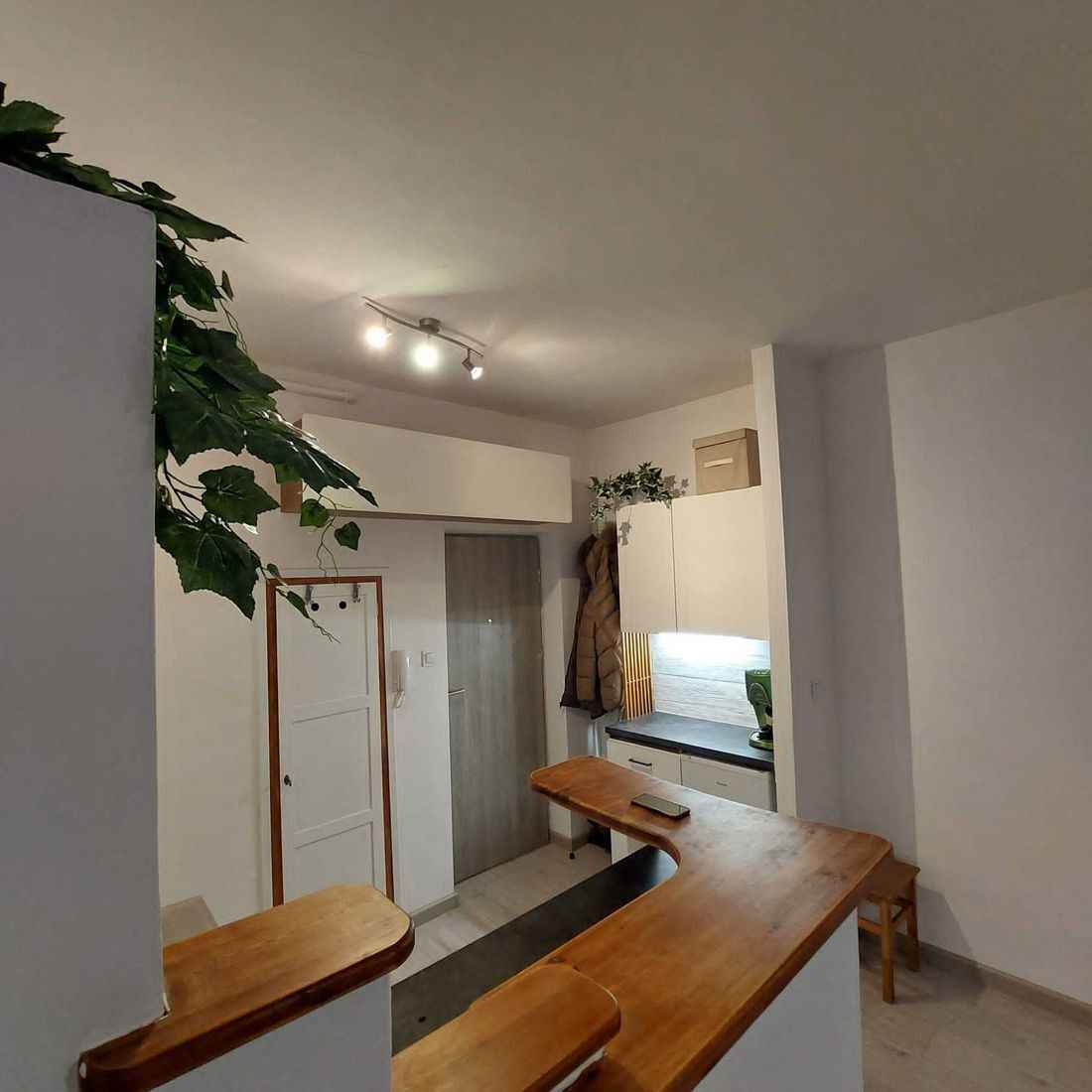 1pok, 24met, Stare Miasto PIWNICA (Wrocław) Stare Miasto - zdjęcie 3