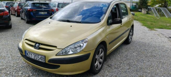 Peugeot 307 Stare Budy - zdjęcie 9