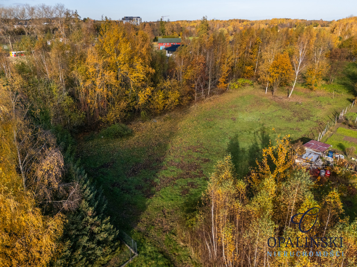 Kameralna okolica | Krakowska | WZ | Zieleń Rzeszów - zdjęcie 9