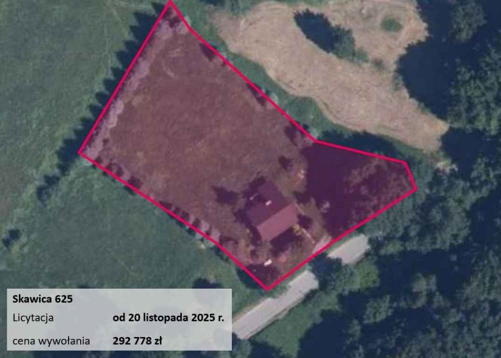 Dom w górach, Beskidy, licytacja Skawica - zdjęcie 2