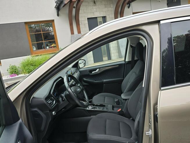 Ford Kuga 1.5 EcoBlue 120KM Titanium / Salon PL I-właściciel Skępe - zdjęcie 11
