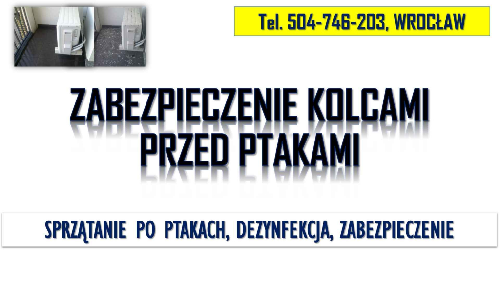 Oczyszczenie klimatyzatora z odchodów po gołębiach, Wrocław, cena. Psie Pole - zdjęcie 3