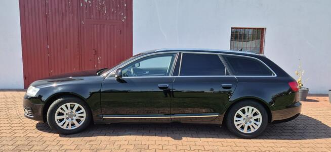 Audi A6 AUTOMAT-LED-SKORA Paproć - zdjęcie 6