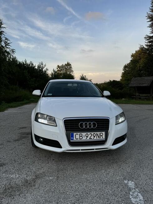 Audi A3 2.0 TDI DPF Ambition Cekcyn - zdjęcie 1