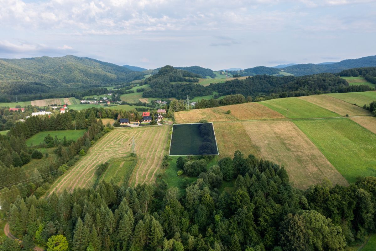 Panorama | Zacisze | Odetchnij w Bieszczadach Bukowiec - zdjęcie 2