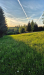 Działka budowlana 2134m2 Nowy Targ Nowy Targ - zdjęcie 2