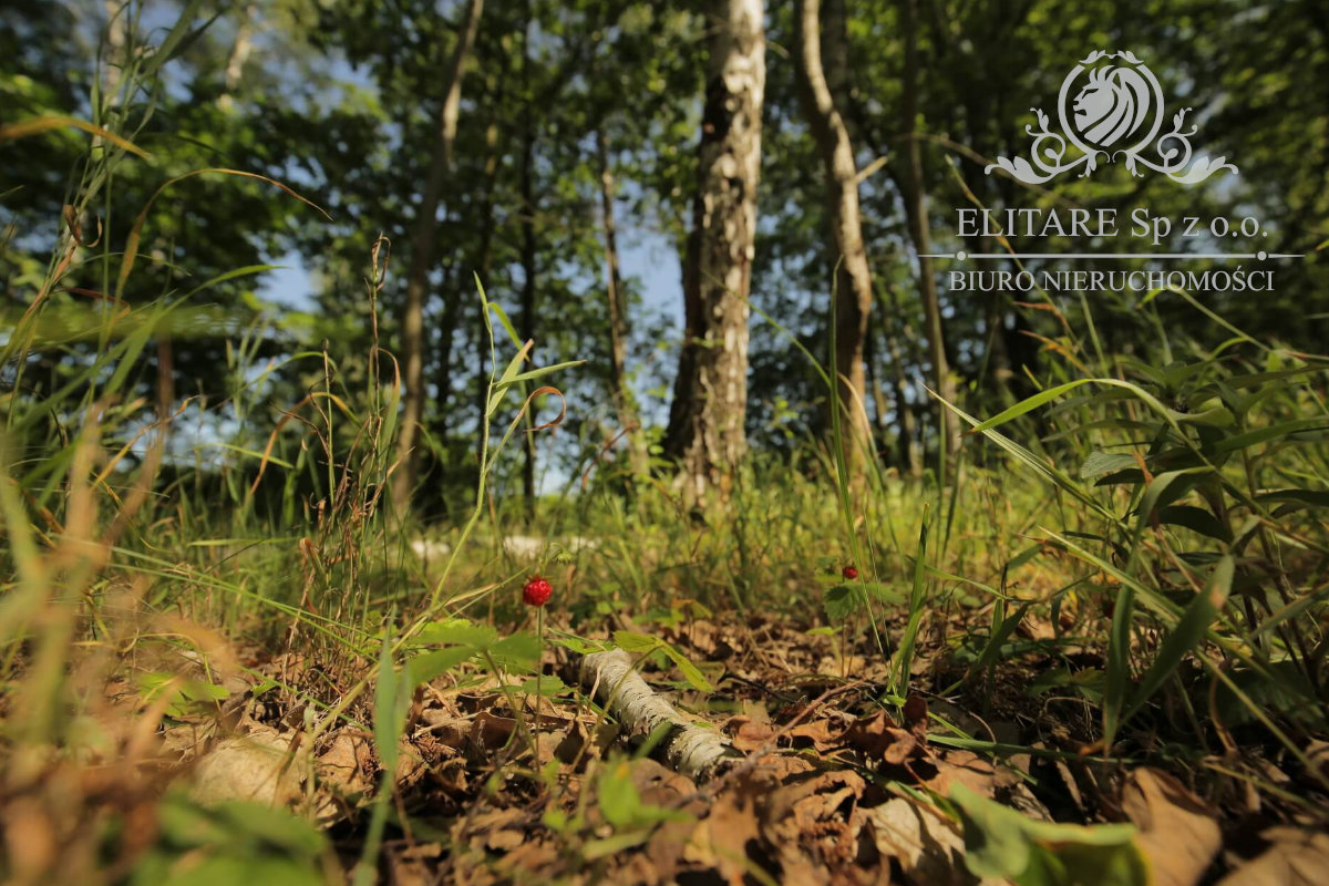 Piękny dom w zabudowie bliźniaczej z ogrzewaniem miejskim! Siechnice Siechnice - zdjęcie 11