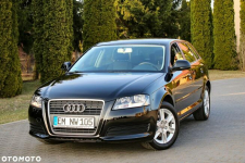 Audi A3 1.6MPI*102KM Ostrów Mazowiecka - zdjęcie 3