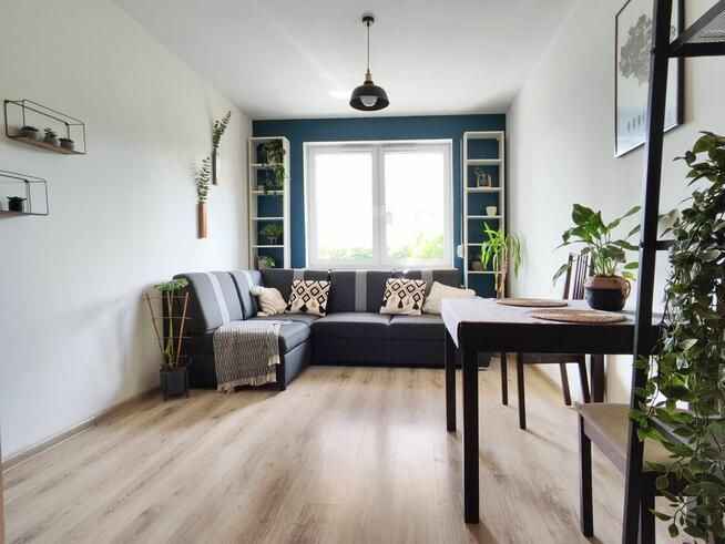 2pok, 43met, Okolice Stabłowickiej KOMÓRKA/OGRÓD/2018 (Wrocław) Fabryczna - zdjęcie 2