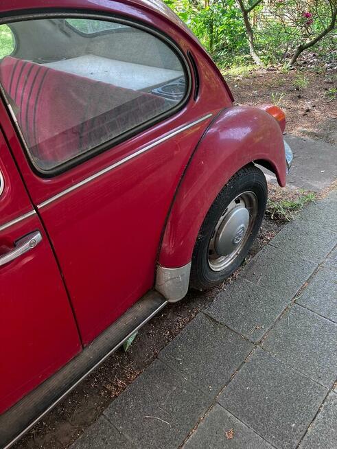 VW Garbus Stary Lubotyń - zdjęcie 9
