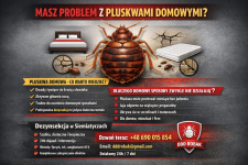 🛏️ Skuteczne odpluskwianie – Siemiatycze