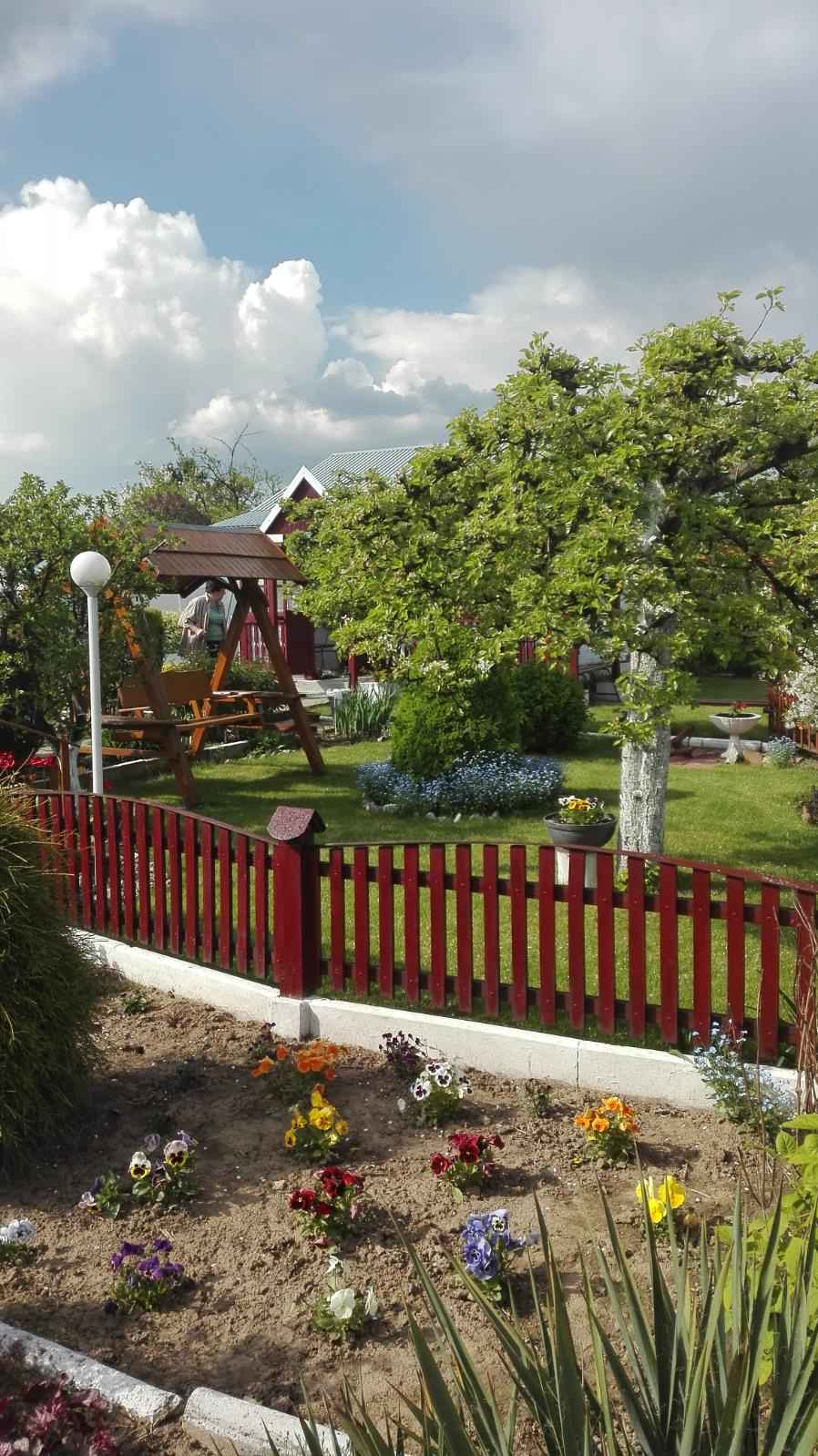 Sprzedam działkę w ROD "Kępa" Puławy Puławy - zdjęcie 3