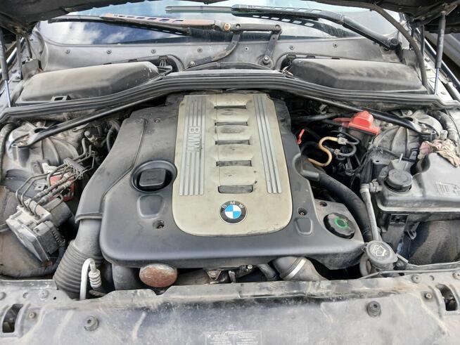 Bmw 530d Nowy Staw - zdjęcie 2