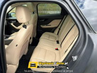 Jaguar F-PACE Telefon: 	516_974_116 Lokalizacja: Kołbiel Włocławek - zdjęcie 10