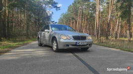 Mercedes w203 c200 cdi Czarnocin - zdjęcie 6