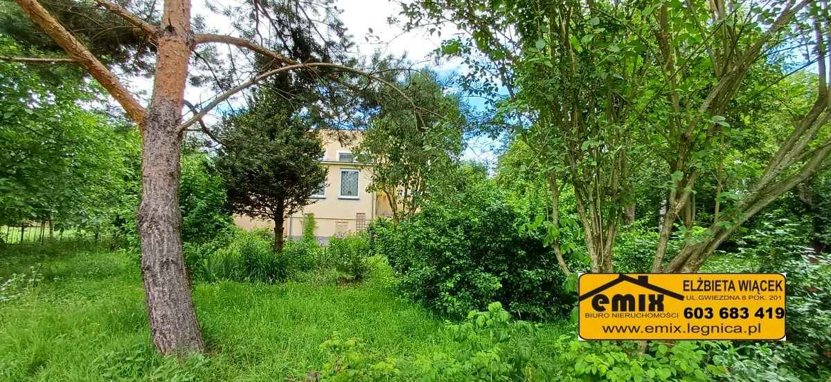 Dom z garażem i dużą działką 10 km od Złotoryi Złotoryja - zdjęcie 11