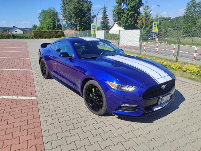 Ford Mustang zadbany oryginalny lakier serwisowany Kalwaria Zebrzydowska - zdjęcie 4