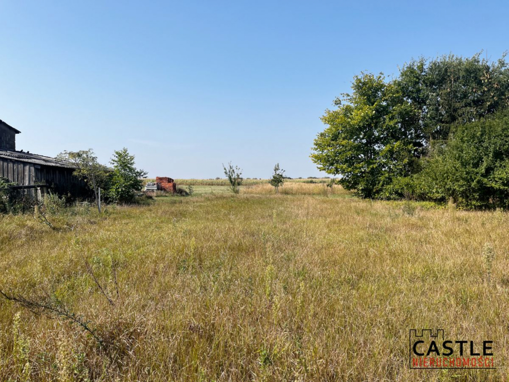 Działka w Dusznikach-miejsce dla Twojej Rodziny Duszniki - zdjęcie 3