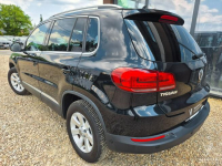 Tiguan 2.0 TDI 177km 4x4 BI-XENON kamera NAVI bordo skóra SERWIS 2014 Tychy - zdjęcie 4