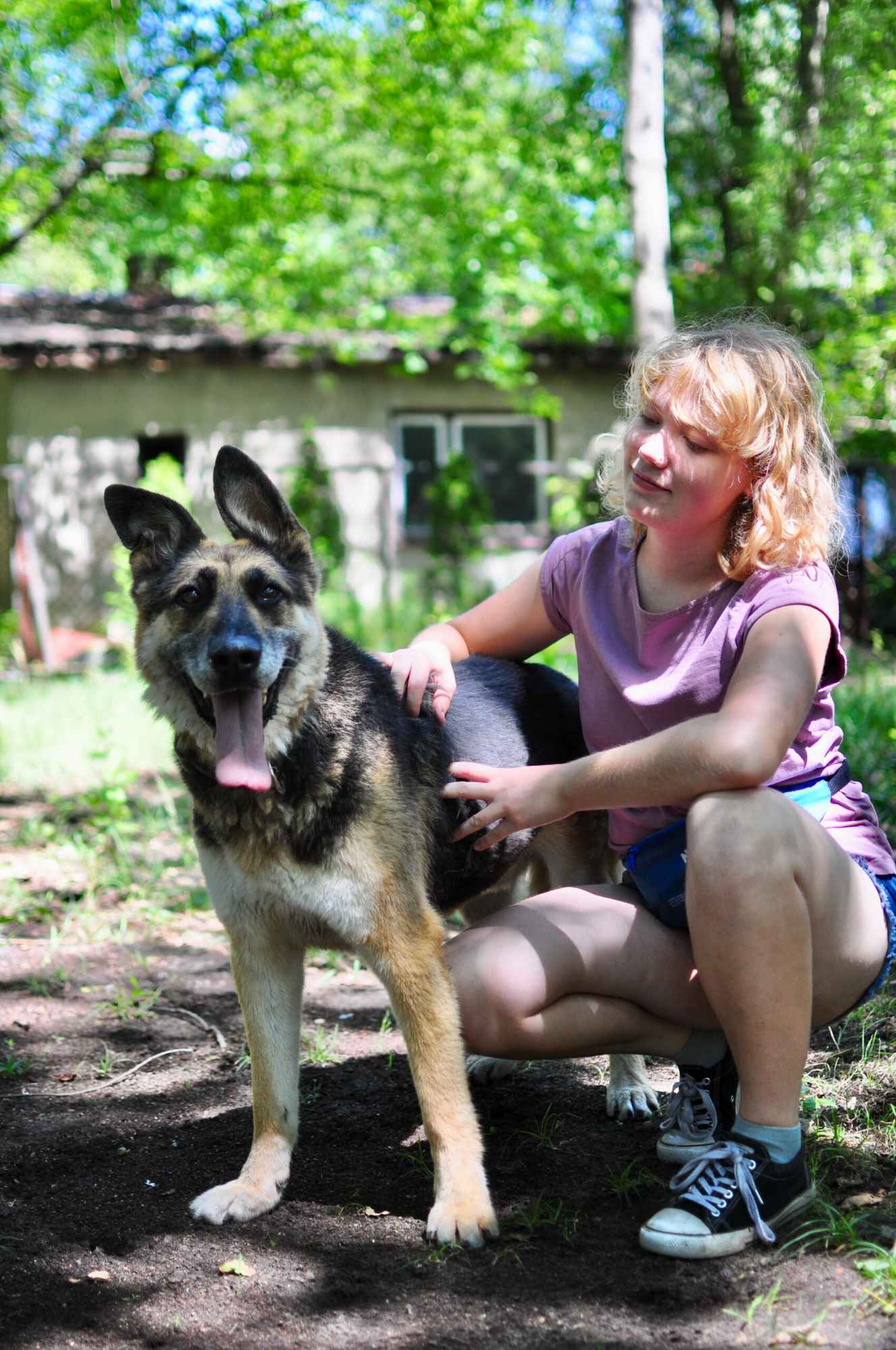 Horaś - ideał z klapniętym uszkiem szuka domu! Olsztyn - zdjęcie 2
