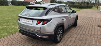 Hyundai Tucson KAMERA-AUTOMAT-LED-MEDIA Paproć - zdjęcie 8