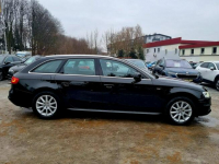 Audi A4 S-Line Led Serwis Bixenon Navi Climatronik Gwarancja Szczecin - zdjęcie 4