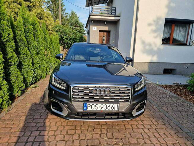 Audi Q2 Ostrów Wielkopolski - zdjęcie 2